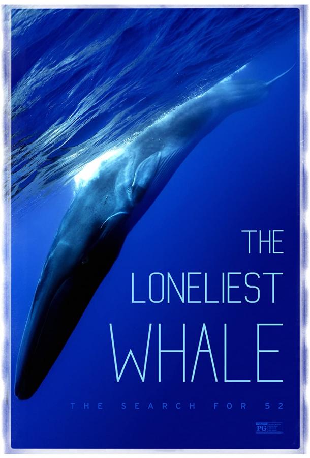 Самый одинокий кит на планете: в поисках Пятидесятидвухгерцового кита смотреть онлайн бесплатно в хорошем качестве