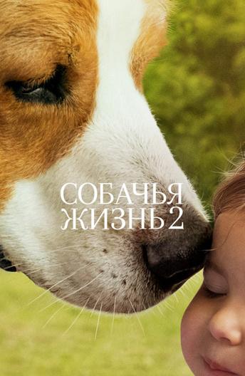 Собачья жизнь 2 смотреть онлайн бесплатно в хорошем качестве
