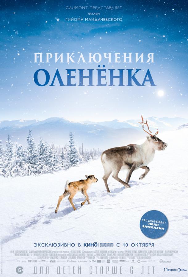 Приключения оленёнка смотреть онлайн бесплатно в хорошем качестве
