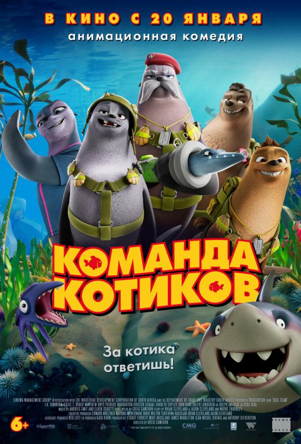 Команда котиков смотреть онлайн бесплатно в хорошем качестве