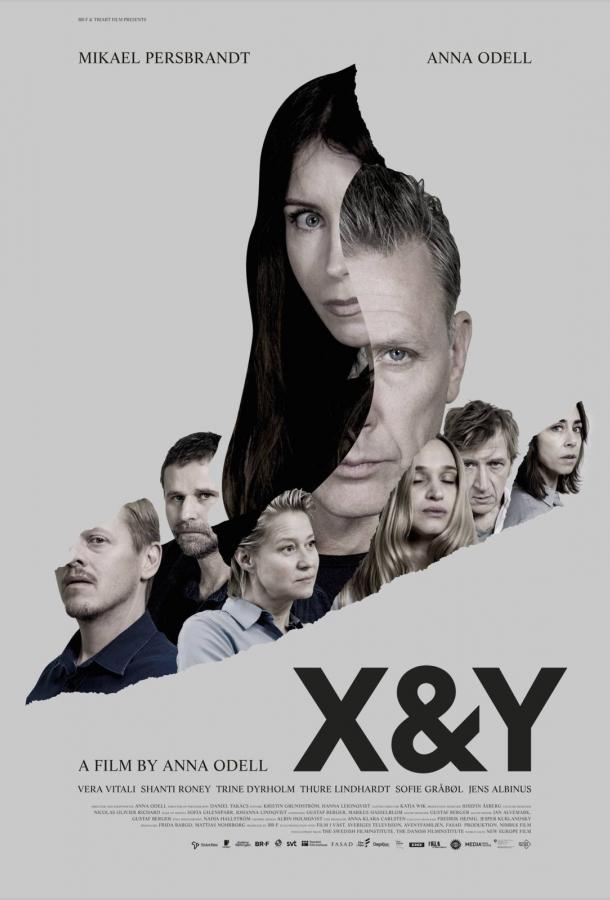 X и Y смотреть онлайн бесплатно в хорошем качестве