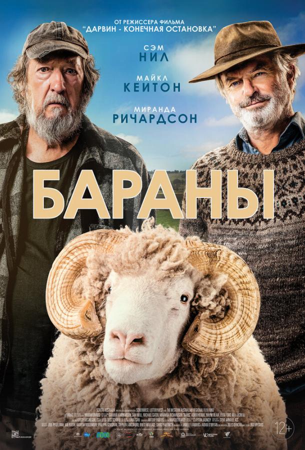 Бараны смотреть онлайн бесплатно в хорошем качестве