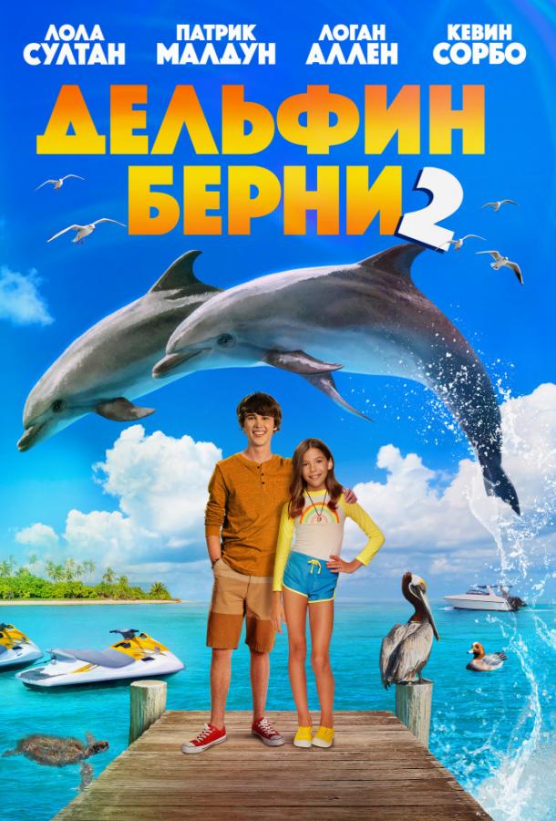 Дельфин Берни 2 смотреть онлайн бесплатно в хорошем качестве