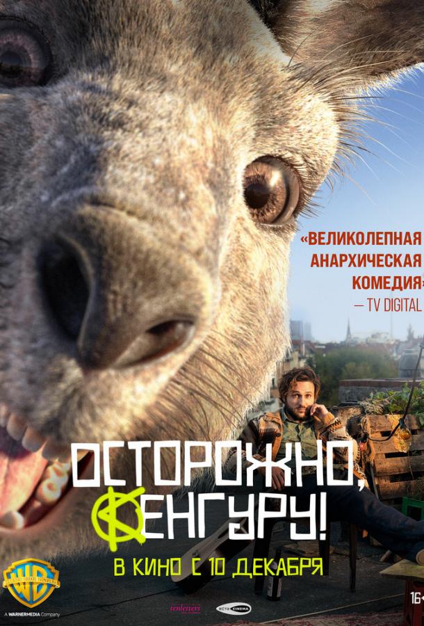 Осторожно, Кенгуру! смотреть онлайн бесплатно в хорошем качестве