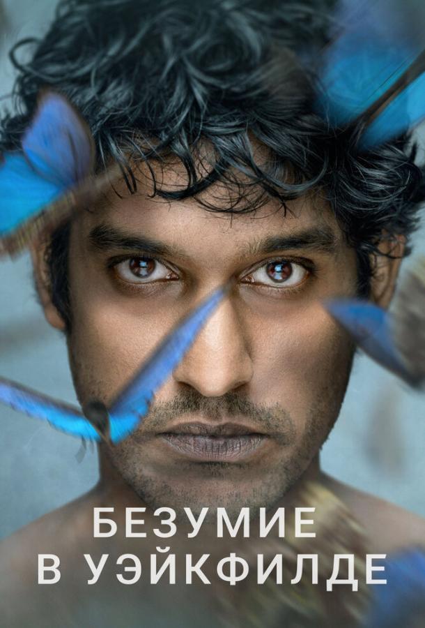 Безумие в Уэйкфилде смотреть онлайн бесплатно в хорошем качестве