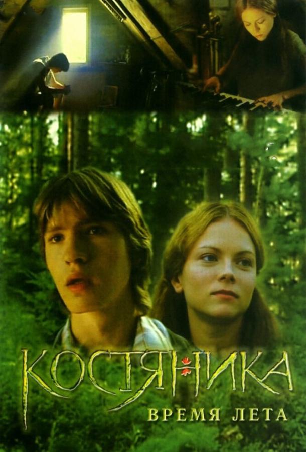 КостяНика. Время лета смотреть онлайн бесплатно в хорошем качестве
