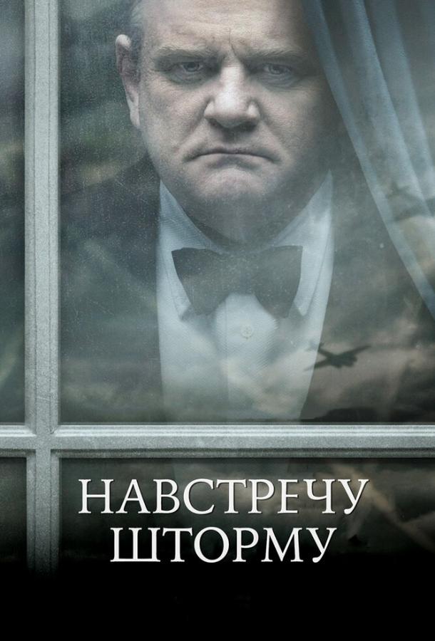Навстречу шторму смотреть онлайн бесплатно в хорошем качестве