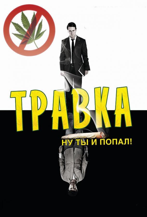 Травка смотреть онлайн бесплатно в хорошем качестве