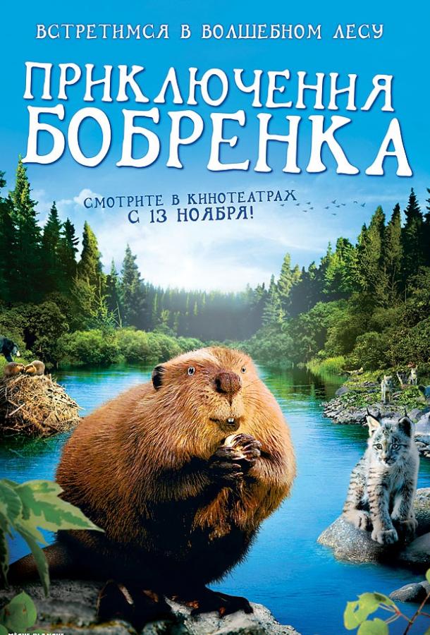 Приключения бобрёнка смотреть онлайн бесплатно в хорошем качестве