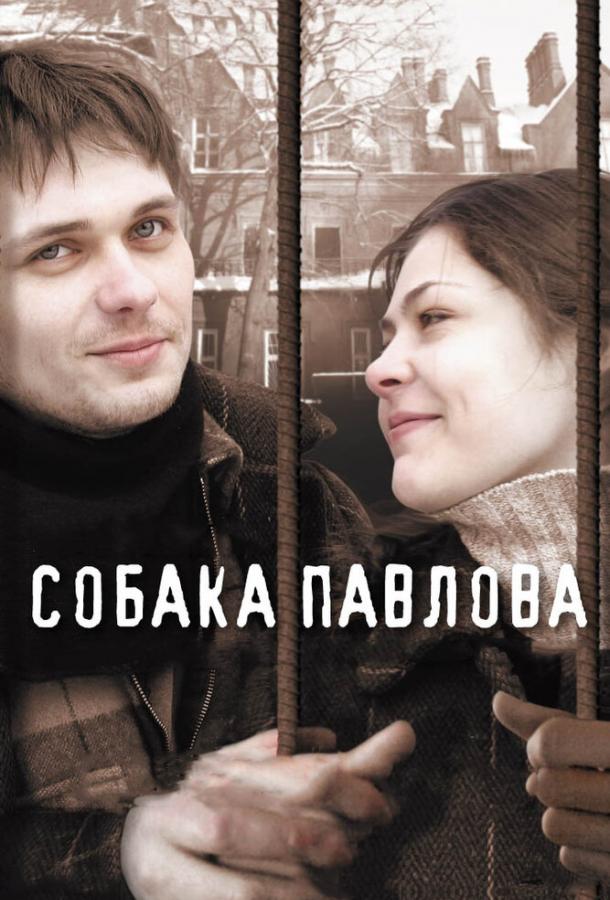 Собака Павлова смотреть онлайн бесплатно в хорошем качестве