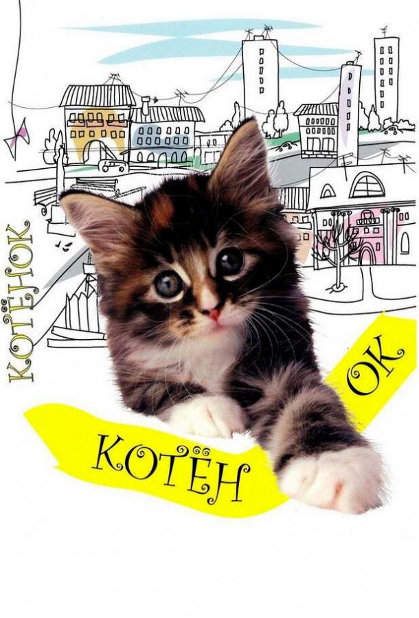 Котенок смотреть онлайн бесплатно в хорошем качестве