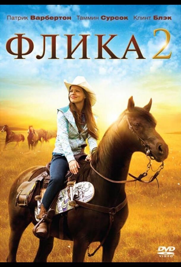 Флика 2 смотреть онлайн бесплатно в хорошем качестве