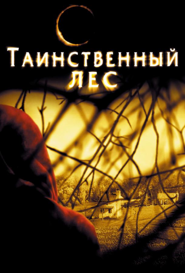 Таинственный лес смотреть онлайн бесплатно в хорошем качестве