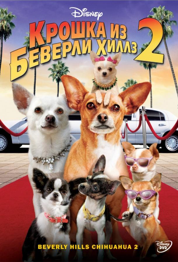 Крошка из Беверли-Хиллз 2 смотреть онлайн бесплатно в хорошем качестве
