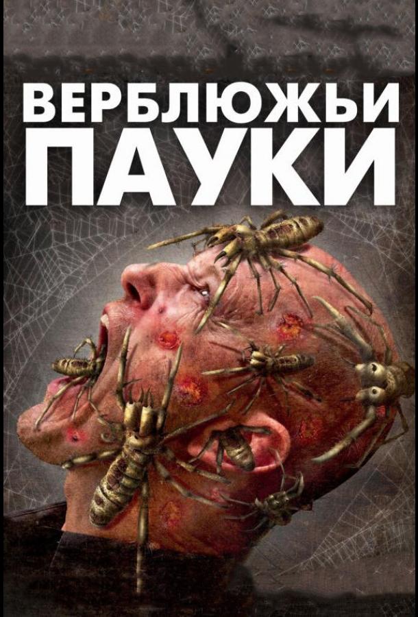 Верблюжьи пауки смотреть онлайн бесплатно в хорошем качестве
