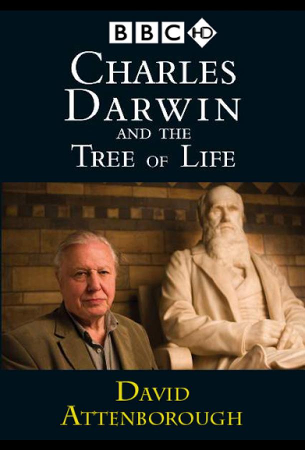 Чарльз Дарвин и Древо жизни смотреть онлайн бесплатно в хорошем качестве