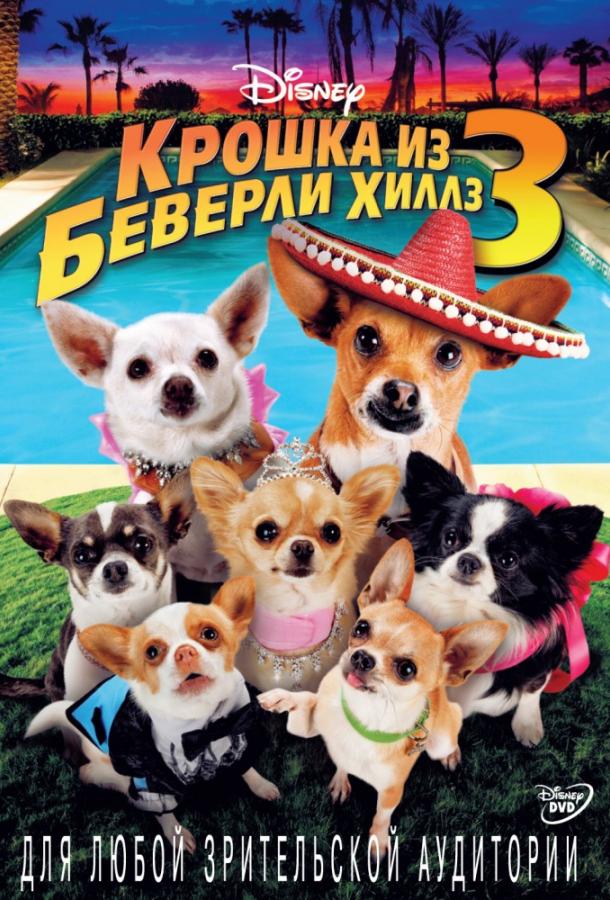 Крошка из Беверли-Хиллз 3 смотреть онлайн бесплатно в хорошем качестве