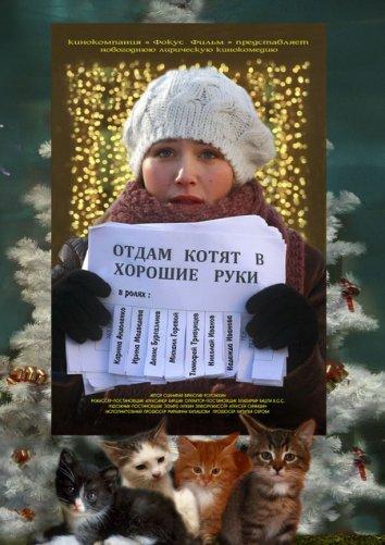 Отдам котят в хорошие руки смотреть онлайн бесплатно в хорошем качестве