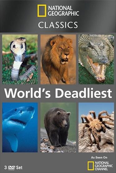 National Geographic: Самые опасные животные смотреть онлайн бесплатно в хорошем качестве