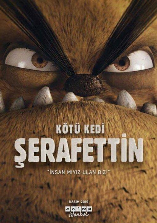 Плохой кот Шерафеттин смотреть онлайн бесплатно в хорошем качестве