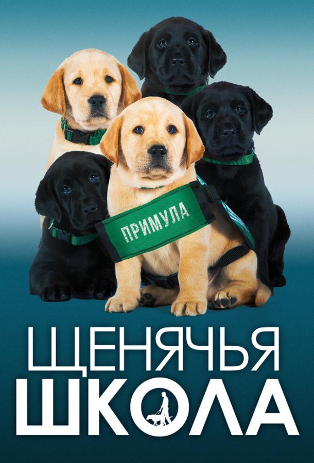 Щенячья школа смотреть онлайн бесплатно в хорошем качестве