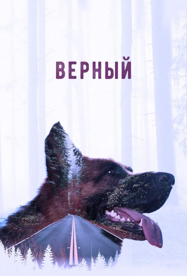 Верный смотреть онлайн бесплатно в хорошем качестве